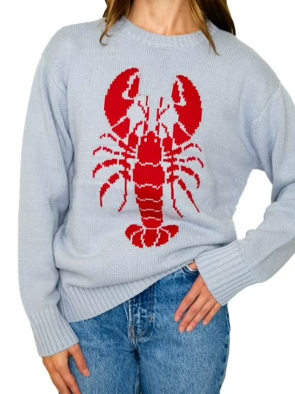 Lobster Knit Sweater in Dusty Light Blue